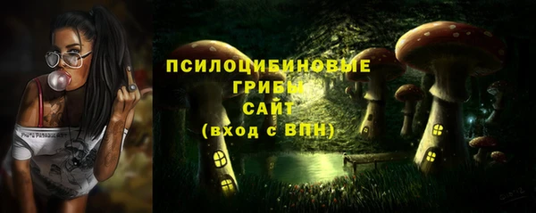 стафф Вязьма