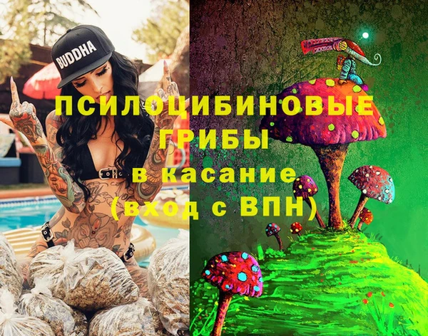 спиды Вязники