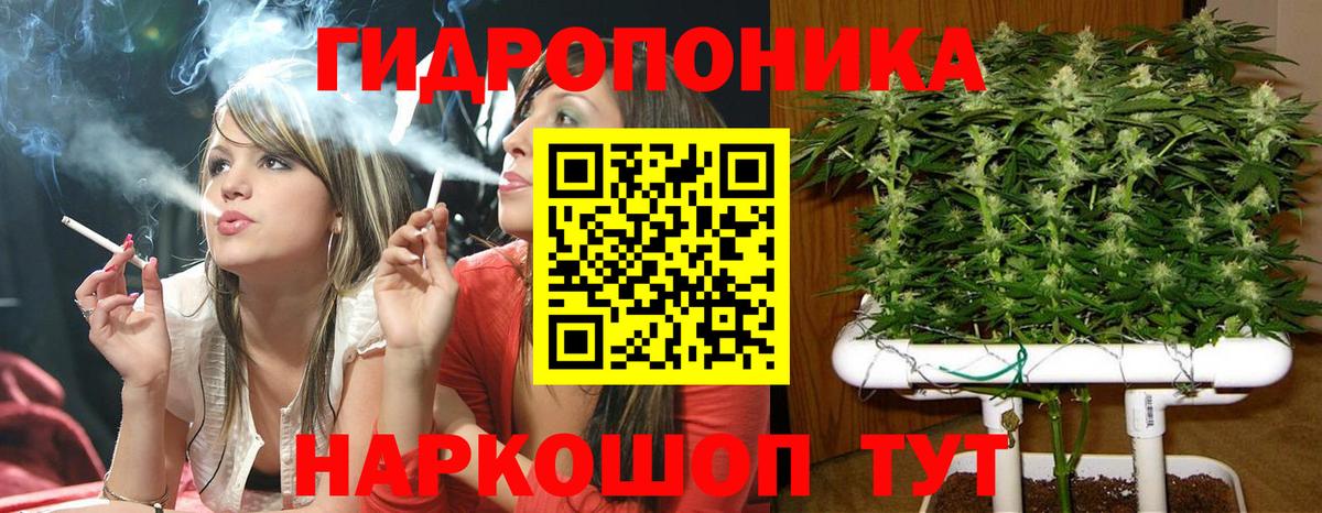 МАРИХУАНА гибрид  МАРИХУАНА Ganja  МАРИХУАНА Amnesia  Заринск  Вход с VPN 